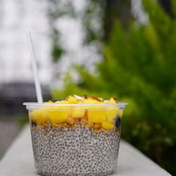 ShakeExpress Mission - Chia seed pudding bowl