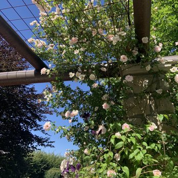 Idaho Botanical Garden - Museums Near Me - Boise, Idaho Idaho Botanical Garden - Museums Near Me - Boise, Idaho