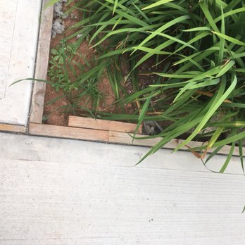 Zingariello Masonry & Paving - Masonry/Concrete Near Me - Edison, New Jersey Zingariello Masonry & Paving - Masonry/Concrete Near Me - Edison, New Jersey