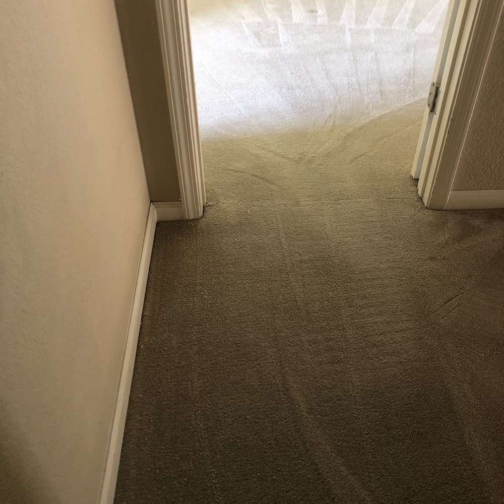 Pristine Cleaners - After- got out some darker spots - Carpet Cleaning Near Me Pristine Cleaners - After- got out some darker spots - Carpet Cleaning Near Me