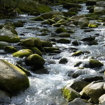 Roaring Fork Motor Nature Trail - Hiking Near Me