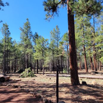 Lava River Cave - Landmarks & Historical Buildings Near Me - Flagstaff, Arizona Lava River Cave - Landmarks & Historical Buildings Near Me - Flagstaff, Arizona