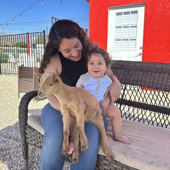 Farm Americana - Goat time! - Ice Cream & Frozen Yogurt Near Me - Cherry Valley, California