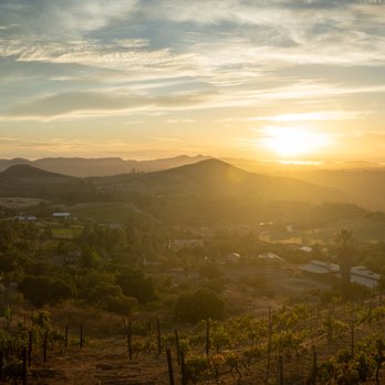 Cordiano Winery - Sunset - Wineries Near Me - Escondido, California