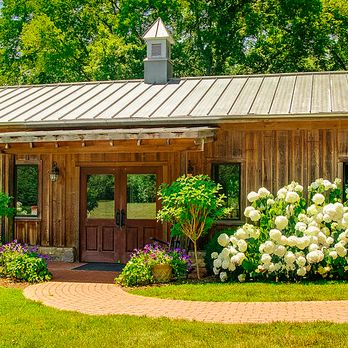 Animalia Rehab - Veterinarians Near Me - Franklin, Tennessee Animalia Rehab - Veterinarians Near Me - Franklin, Tennessee