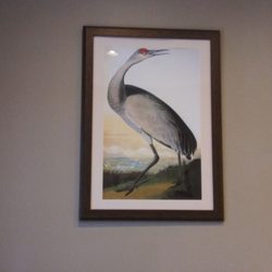 League City Pain And Wellness Center