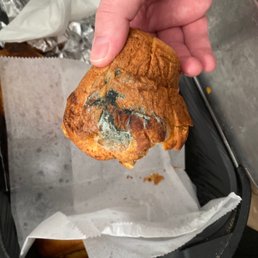 Moldy Muffin Moldy Muffin