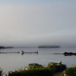 The Beach House Bed & Breakfast - Morning fog from the back porch