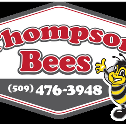 Thompson Bees - We can help with all of your automotive repair needs.