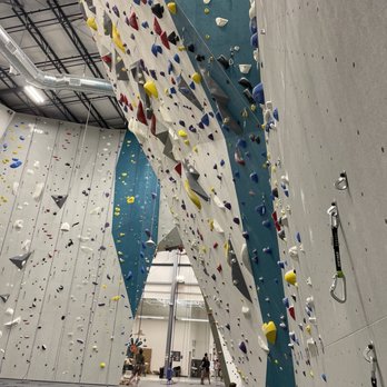 Movement Centennial - Climbing area: I didn't try this as I'm scared of heights and these are high walls! - Rock Climbing Near Me - Centennial, Colorado