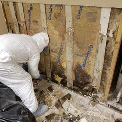 King David Mold Removal - King David mold removal