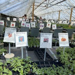 user provided Funke's Greenhouses photo
