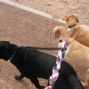 Tails to GO! Pet Service - Dog Walkers Near Me Tails to GO! Pet Service - Dog Walkers Near Me