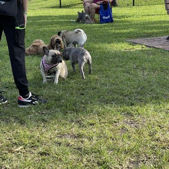 Happy Tails Dog Park - Dog Parks Near Me - Plantation, Florida Happy Tails Dog Park - Dog Parks Near Me - Plantation, Florida