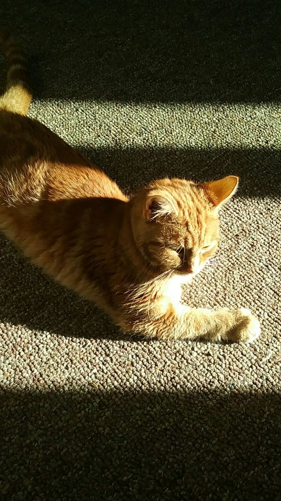 JUST ANIMALS SHELTER Updated August 2024 2996 N 26th Rd, Seneca, Illinois Animal Shelters