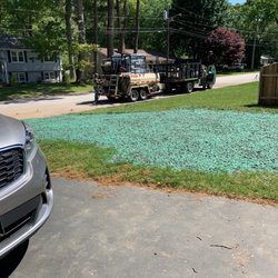 Always Green Hydroseeding - Before and after...side of driveway