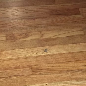 Medranos Cleaning - Dirt left under the dining room chairs. - Office Cleaning Near Me - Chatsworth, California Medranos Cleaning - Dirt left under the dining room chairs. - Office Cleaning Near Me - Chatsworth, California