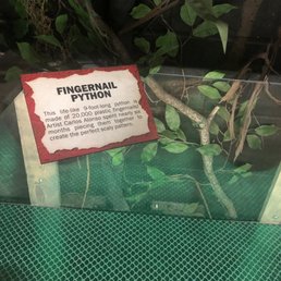 Fingernail Python (gross)! Fingernail Python (gross)!