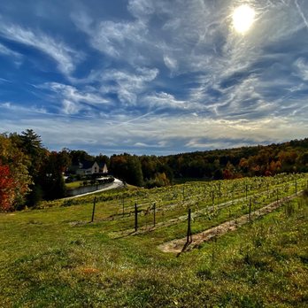 Victoria Valley Vineyards - Fall at the vineyard - Wineries Near Me - Cleveland, South Carolina Victoria Valley Vineyards - Fall at the vineyard - Wineries Near Me - Cleveland, South Carolina