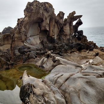 Salt Point State Park - I was digging these claw rocks - Parks Near Me - Jenner, California