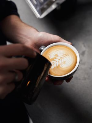 Black Fox Coffee by null