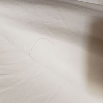 Hilton Garden Inn Clovis - More hair - Hotels Near Me - Clovis, California
