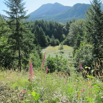 Elkhorn Valley Inn Bed & Breakfast - Elkhorn Mtn. from the back porch - Hotels Near Me - Lyons, Oregon