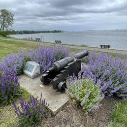 Independence Park - 18th century cannon placed here in 1975