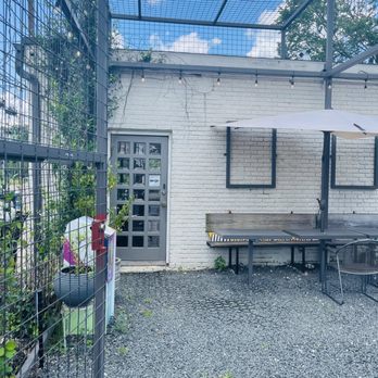 Doshi House - Coffee & Tea Near Me - Houston, Texas