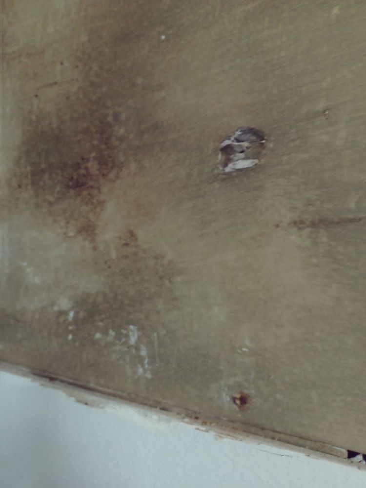 Slide of Remedy Roofing