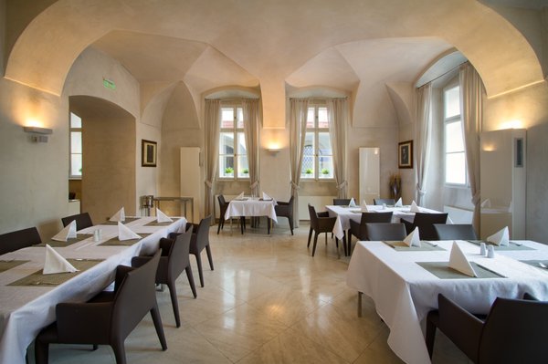 Three Storks by null