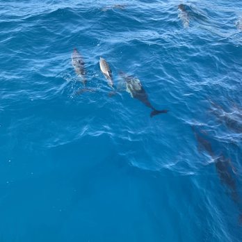 Bubbles Below Scuba Charters, Inc - Boating Near Me - Eleele, Hawaii Bubbles Below Scuba Charters, Inc - Boating Near Me - Eleele, Hawaii