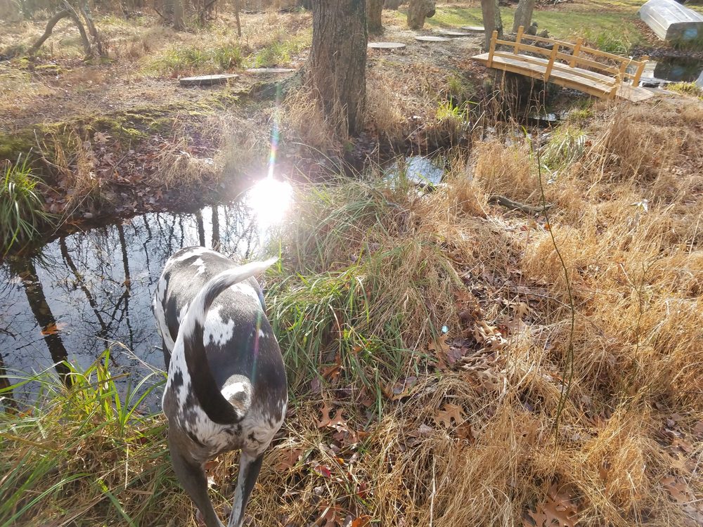 EAST ISLIP MARINA 19 Photos Bayview Ave, East Islip, New York