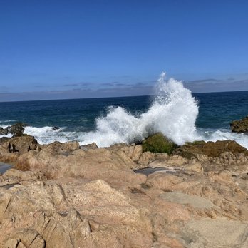 Cactus Atv Tours - Tours Near Me - Cabo San Lucas, BCS Cactus Atv Tours - Tours Near Me - Cabo San Lucas, BCS