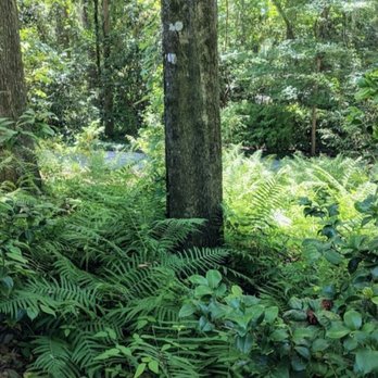 Dorothy B Oven Park - Parks Near Me - Tallahassee, Florida