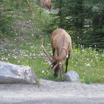 Banff National Park - Parks Near Me - Banff, Alberta