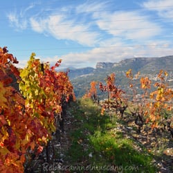 Nice Wine Tours - View towards St. Jeannet