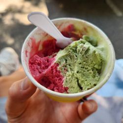 Tutto Cream - Blackberry and pistachio