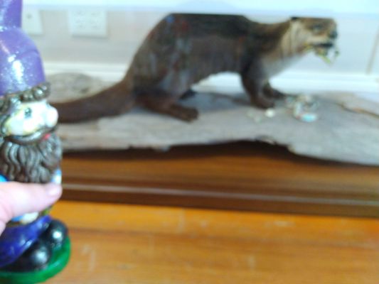 New Canal Lighthouse by null