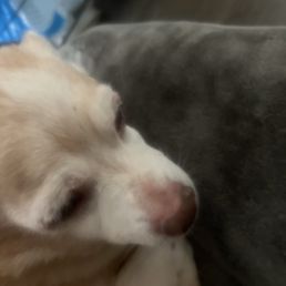 Oscar at 16 years old and 4 months Oscar at 16 years old and 4 months