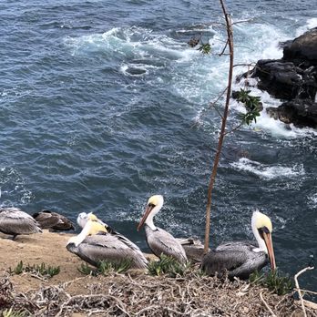 La Jolla Cove - Parks Near Me - La Jolla, California