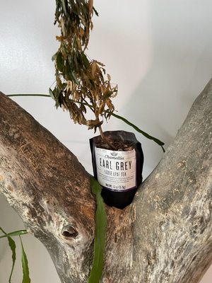 Mea Culpa Cafe by null