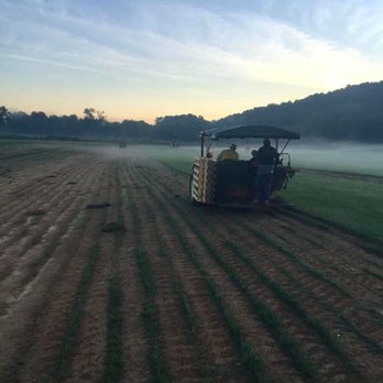 Sims Sod Farm - Early Morning cutting in Fescue fields - Pick Your Own Farms Near Me - Ringgold, Georgia Sims Sod Farm - Early Morning cutting in Fescue fields - Pick Your Own Farms Near Me - Ringgold, Georgia
