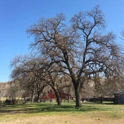 los banos creek reservoir - Los baños creek reservoir