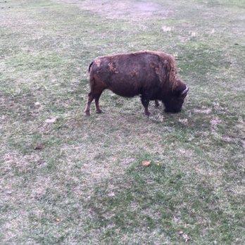 Terry Bison Ranch Resort - Venues & Event Spaces Near Me - Cheyenne, Wyoming