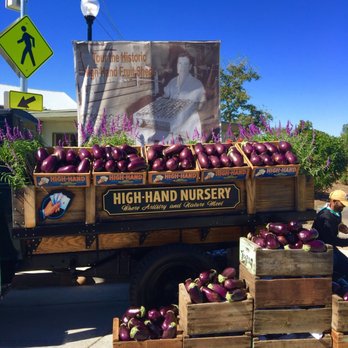 Loomis Eggplant Festival - High Hand nursery get your free eggplant - Festivals Near Me - Loomis, California Loomis Eggplant Festival - High Hand nursery get your free eggplant - Festivals Near Me - Loomis, California