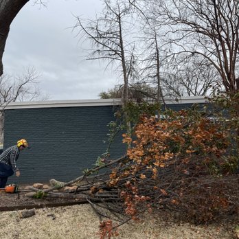 Tactical Tree Operations - Tree Services Near Me Tactical Tree Operations - Tree Services Near Me