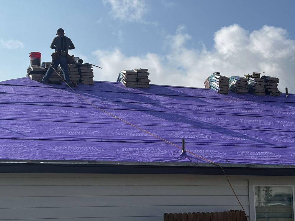 Slide of Mammoth Contracting