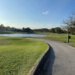 Tpc At Eagle Trace - Par 3, 7th hole over water