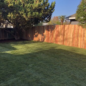 A-G Sod Farms - a backyard with a wooden fence - Landscape Architects or Designers Near Me - Lodi, California A-G Sod Farms - a backyard with a wooden fence - Landscape Architects or Designers Near Me - Lodi, California